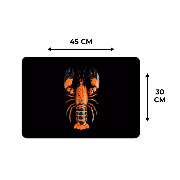 Kreeft - Oranje - Zwart - Modern Placemat vinyl groot -specs