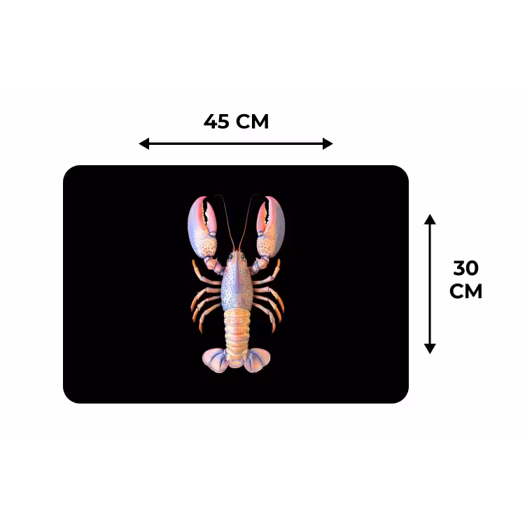 Kreeft - Roze - Zacht - Zwart Placemat vinyl groot -specs