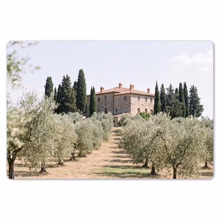 Placemat - 6 stuks - Landhuis - olijfboom - gaard - Landhuis - olijfboom - gaard Placemat vinyl groot