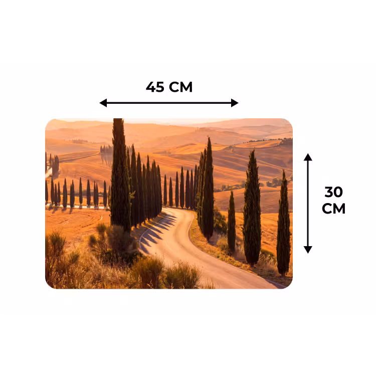 Landschap - Weg - Bomen - Natuur - Goud Placemat vinyl groot -specs