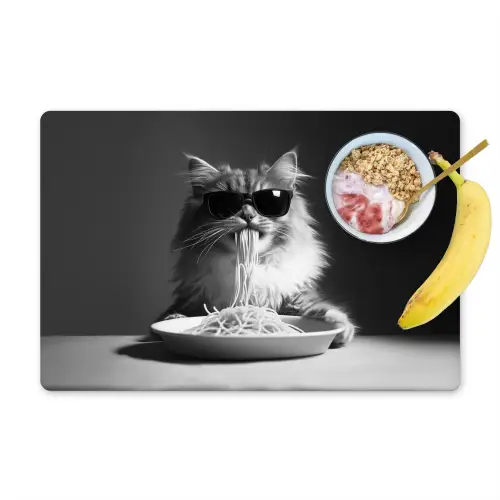 Langharige kat - Zonnebril - Spaghetti - Humor - Zwart - wit Placemat vinyl groot -zzzproduct_Kitchenyeah-website
