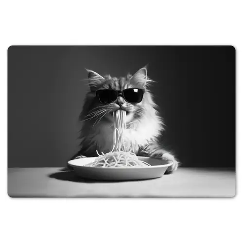 Langharige kat - Zonnebril - Spaghetti - Humor - Zwart - wit Placemat vinyl groot -zzsfeer1_Kitchenyeah-website