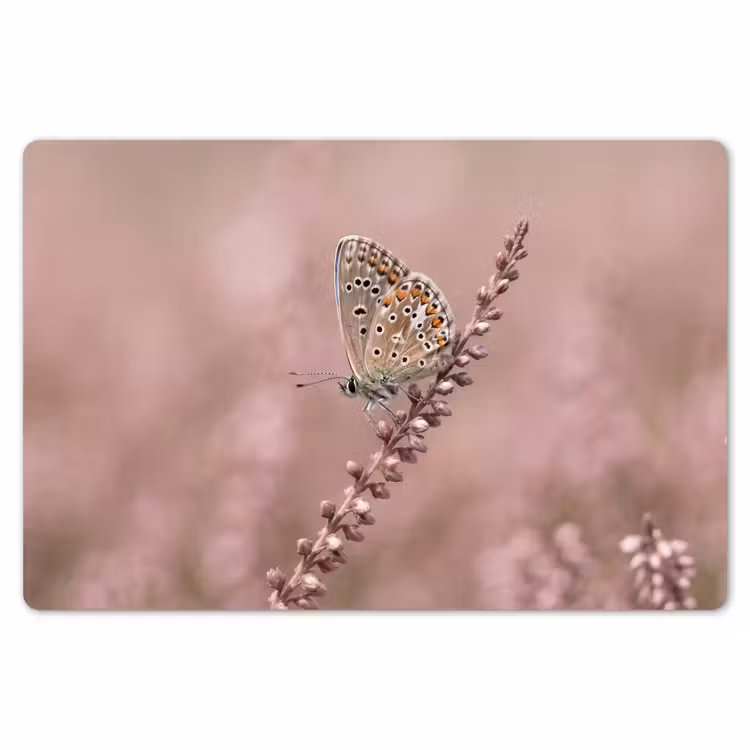 Lavendel - Vlinder - Paars Placemat vinyl groot -zzsfeer1_Kitchenyeah-website