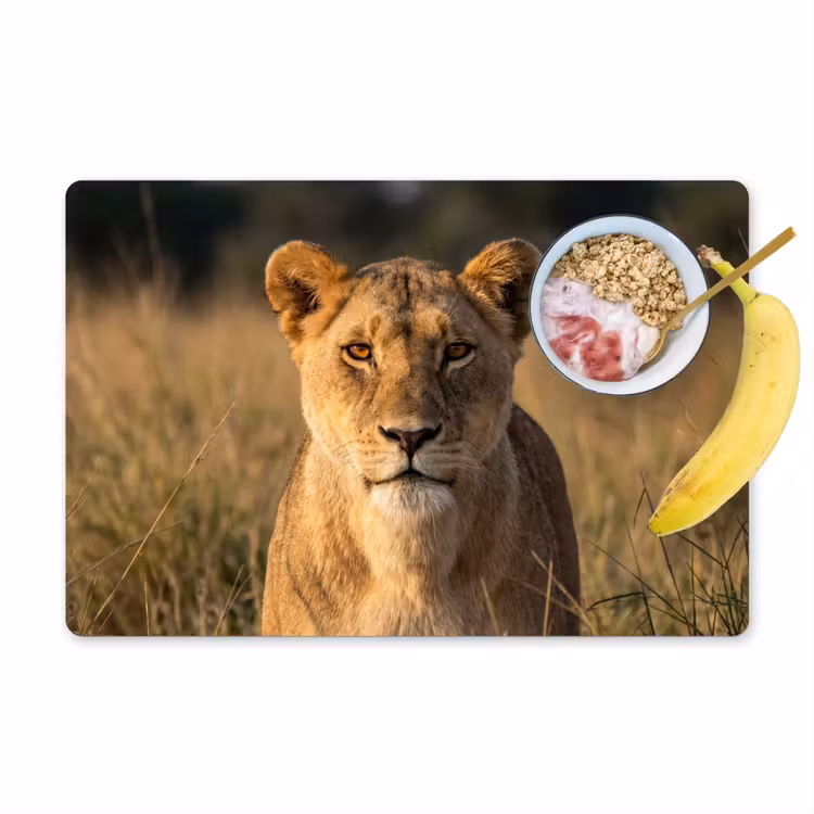 Leeuwin - Gras - Geel Placemat vinyl groot -zzzproduct_Kitchenyeah-website