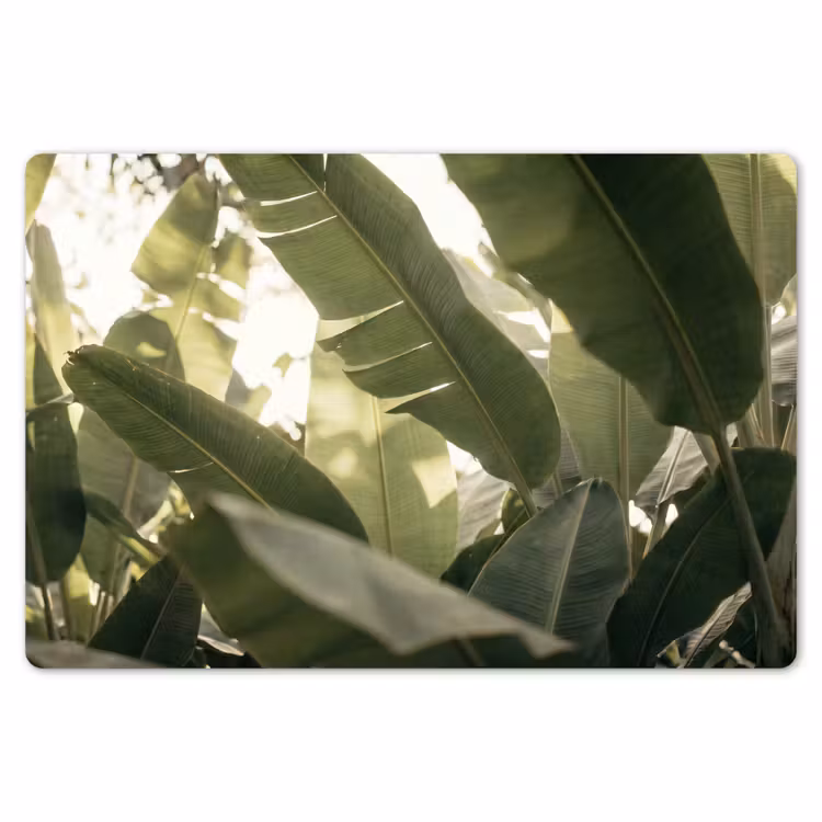 Natuur - Bladeren - Groen - Tropisch - Detail Placemat vinyl groot -zzsfeer1_Kitchenyeah-website