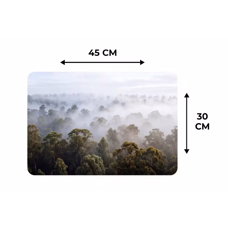 Natuur - Mist - Bos - Ochtend - Goud Placemat vinyl groot -specs