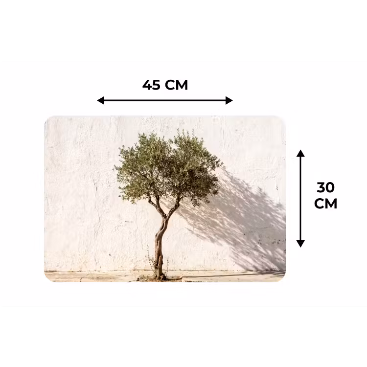Placemat - 6 stuks - Olijfboom - muur - wit - Olijfboom - muur - wit Placemat vinyl groot