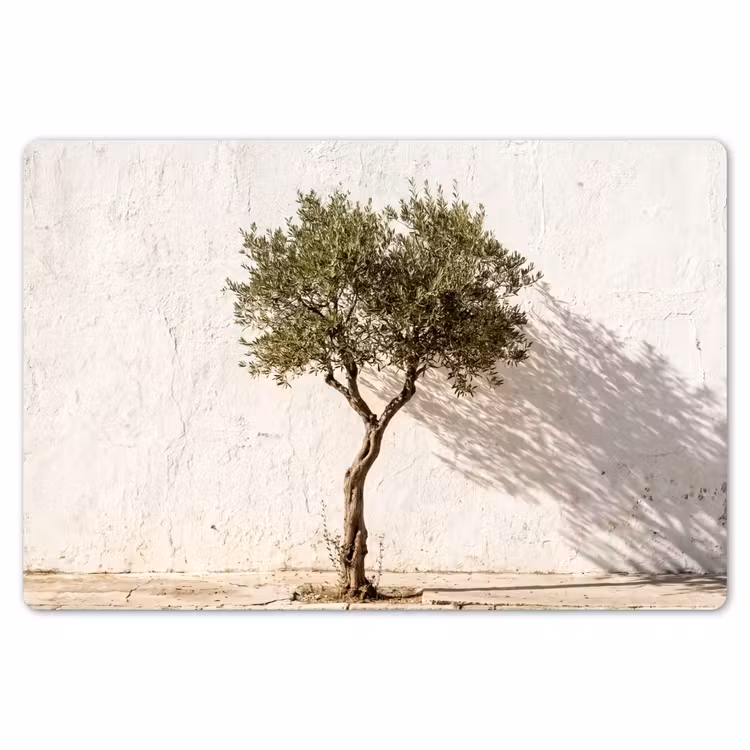 Placemat - 6 stuks - Olijfboom - muur - wit - Olijfboom - muur - wit Placemat vinyl groot