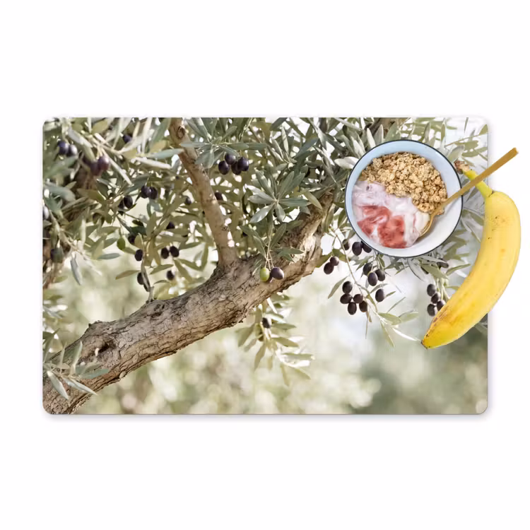 Placemat - 6 stuks - Olijfboom - tak - groen - Olijfboom - tak - groen Placemat vinyl groot