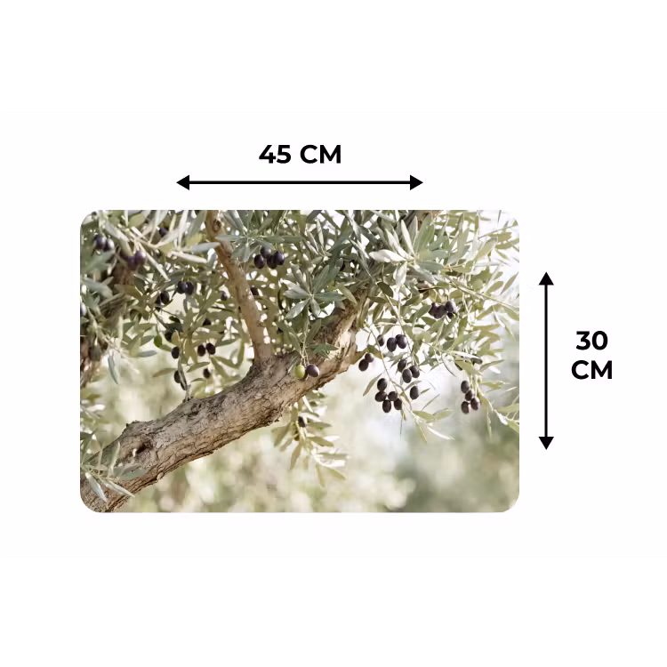 Placemat - 6 stuks - Olijfboom - tak - groen - Olijfboom - tak - groen Placemat vinyl groot