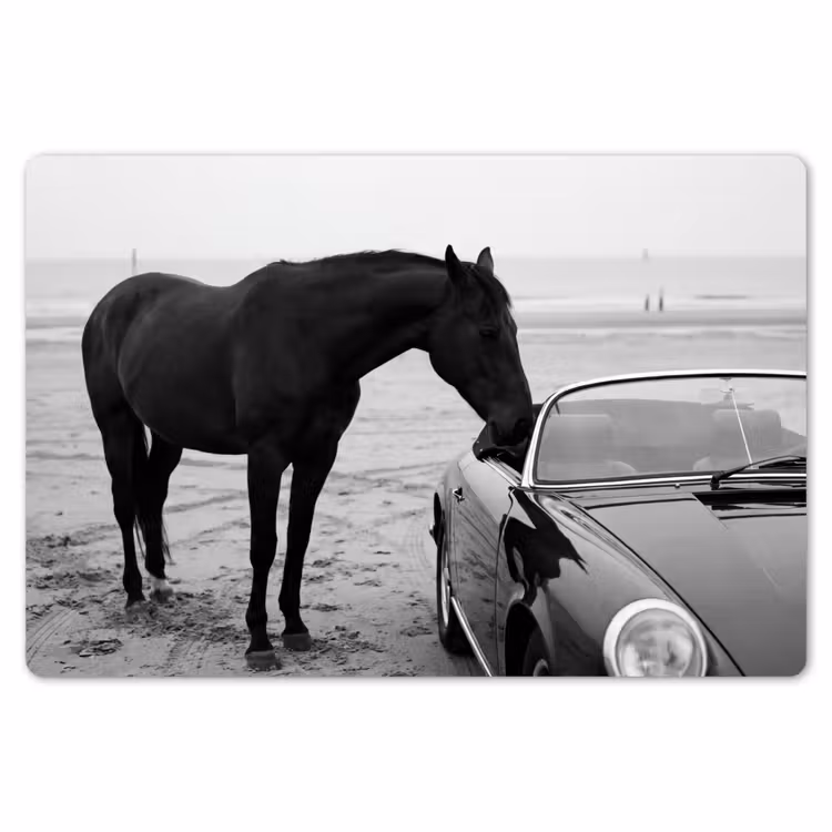 Paard - Auto - Zwart - Wit Placemat vinyl groot -zzsfeer1_Kitchenyeah-website