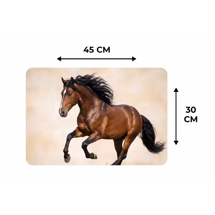 Paard - Galop - Energie Placemat vinyl groot -specs