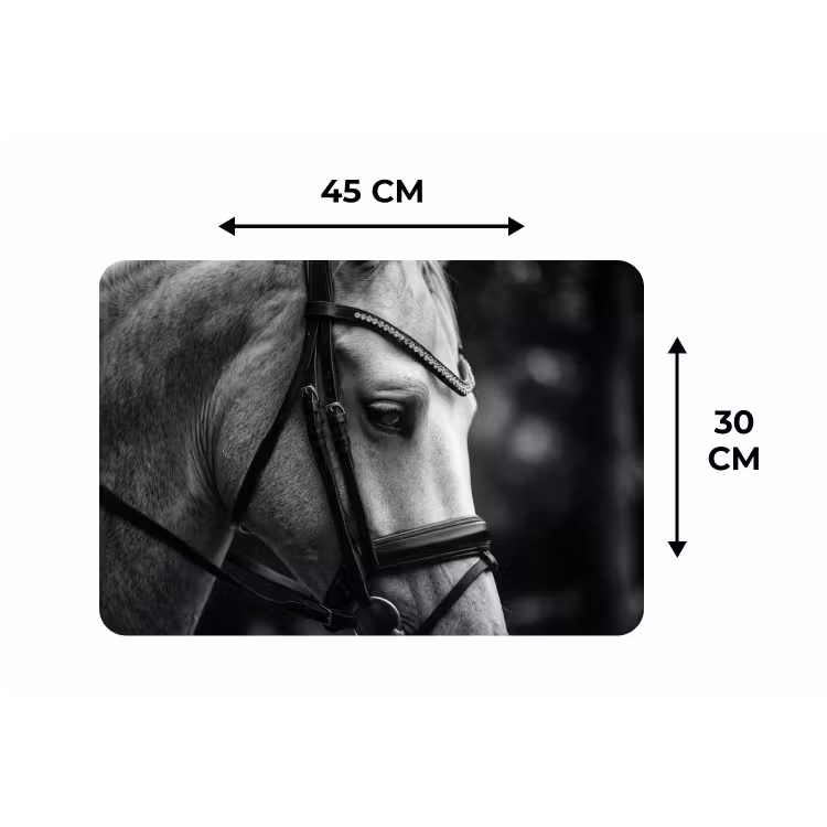 Paard - Schimmel - Portret Placemat vinyl groot -specs