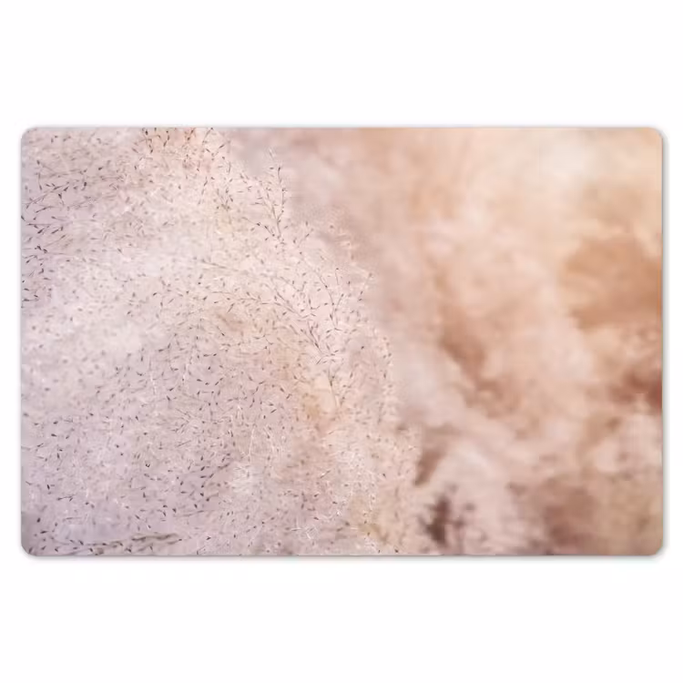 Pampasgras - Structuur - Planten - Natuur Placemat vinyl groot -zzsfeer1_Kitchenyeah-website
