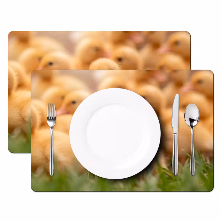 Pijltje - Eend - Natuur - Geel Placemat vinyl groot -zzsfeer2_Kitchenyeah-website