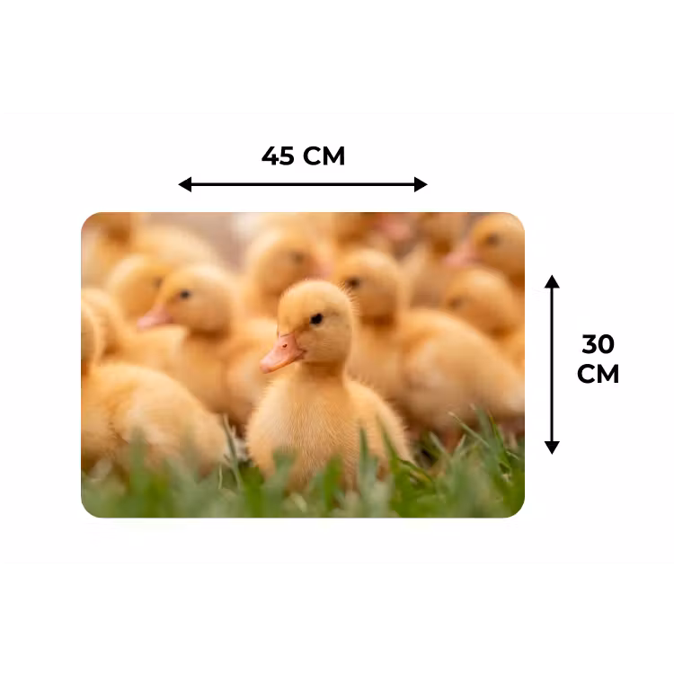 Pijltje - Eend - Natuur - Geel Placemat vinyl groot -specs