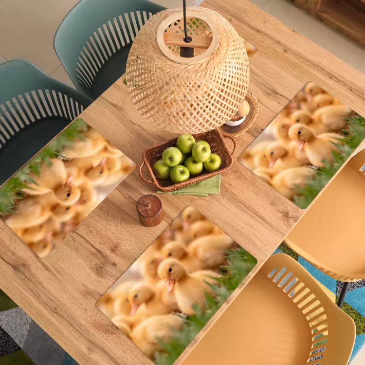 Pijltje - Eend - Natuur - Geel Placemat vinyl groot -zzsfeer5_Kitchenyeah-website