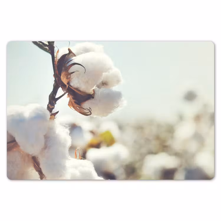 Planten - Bloem - Tak - Natuur Placemat vinyl groot -zzsfeer1_Kitchenyeah-website