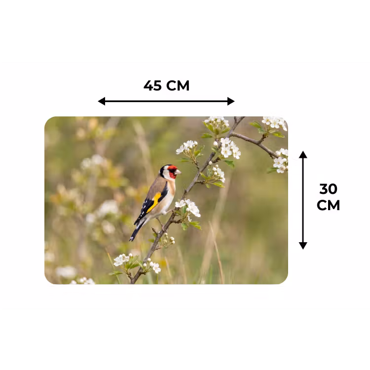 Putter - Bloesem - Lente - Natuur - Kleurrijk Placemat vinyl groot -specs