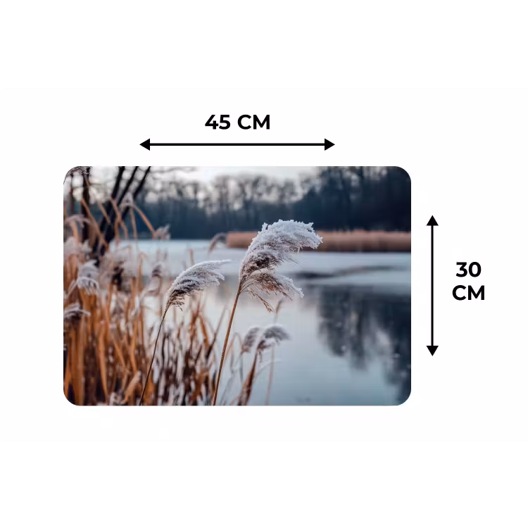 Riet - Gras - Natuur - Winter - Meer Placemat vinyl groot -specs