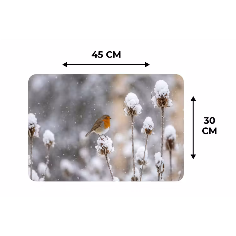Roodborstje - Gedroogde bloem - Sneeuw - Winter - Vertederend Placemat vinyl groot -specs