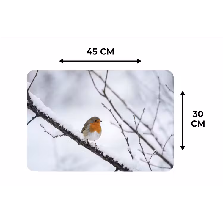 Roodborstje - Tak - Sneeuw - Winter - Levendig Placemat vinyl groot -specs