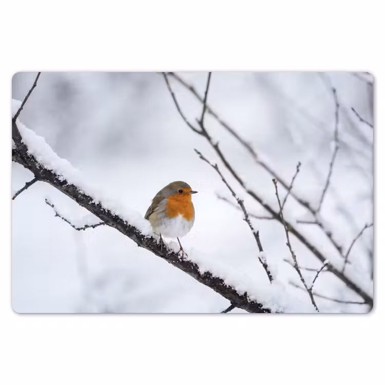 Roodborstje - Tak - Sneeuw - Winter - Levendig Placemat vinyl groot -zzsfeer1_Kitchenyeah-website