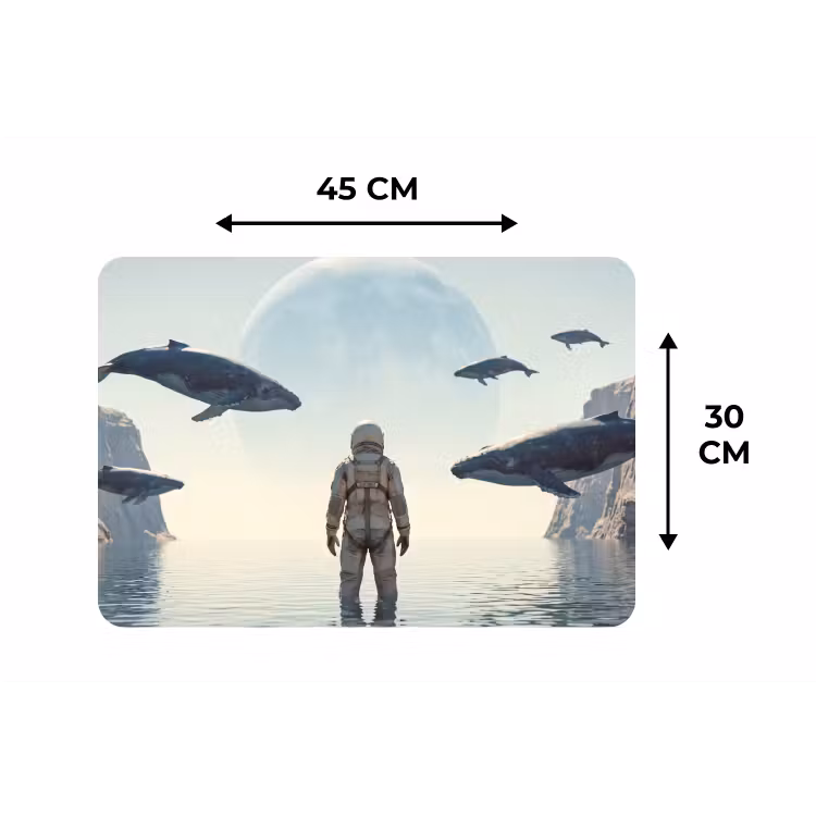 Placemat - 6 stuks - Ruimtevaarder - Walvis - Fantasie - Ruimtevaarder - Walvis - Fantasie Placemat vinyl groot
