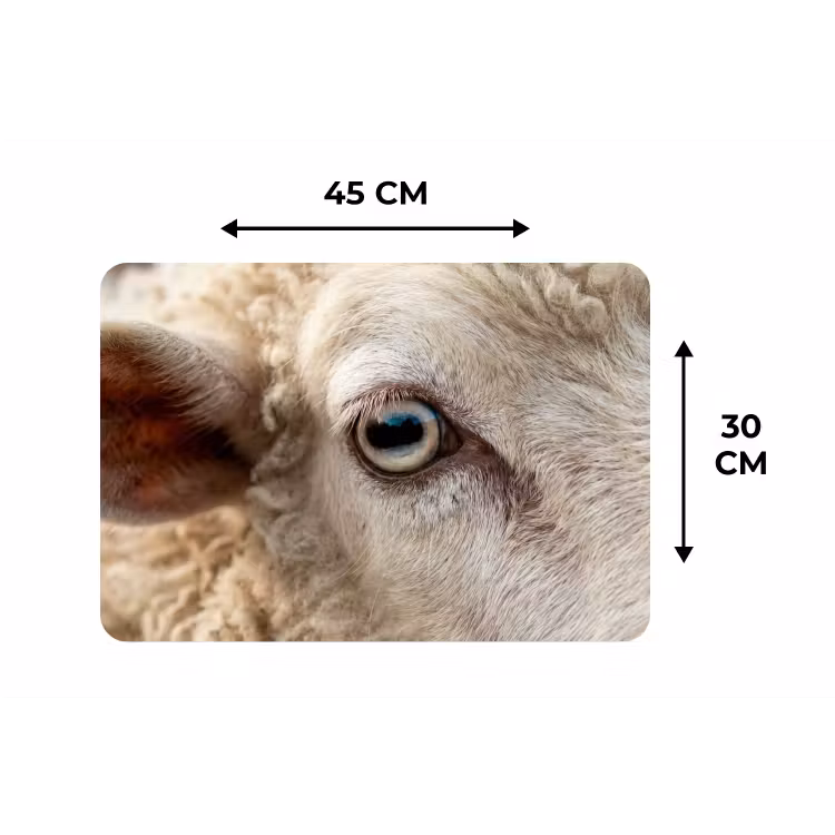 Schaap - Oog - Wit Placemat vinyl groot -specs