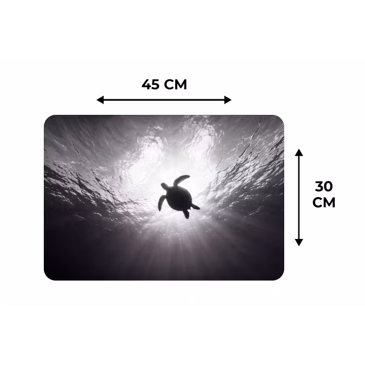 Schildpad - Onderwater - Lichtstralen - Oceaan - Zwart-wit Placemat vinyl groot -specs