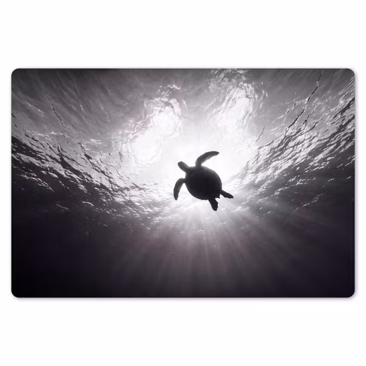 Schildpad - Onderwater - Lichtstralen - Oceaan - Zwart-wit Placemat vinyl groot -zzsfeer1_Kitchenyeah-website