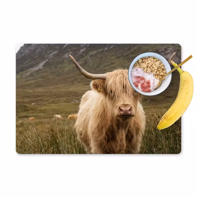 Schotse hooglander - Bergen - Grasveld Placemat vinyl groot -zzzproduct_Kitchenyeah-website