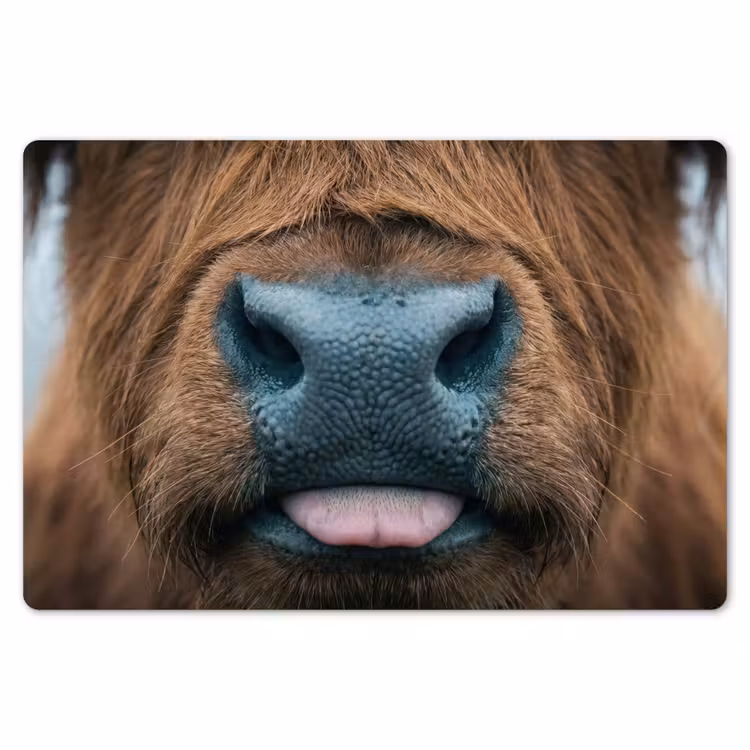 Schotse hooglander - Neus - Bruin Placemat vinyl groot -zzsfeer1_Kitchenyeah-website