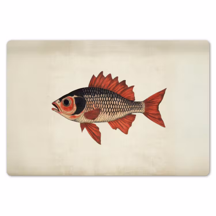 Schubben - Rood - Vis - Vinnen Placemat vinyl groot -zzsfeer1_Kitchenyeah-website
