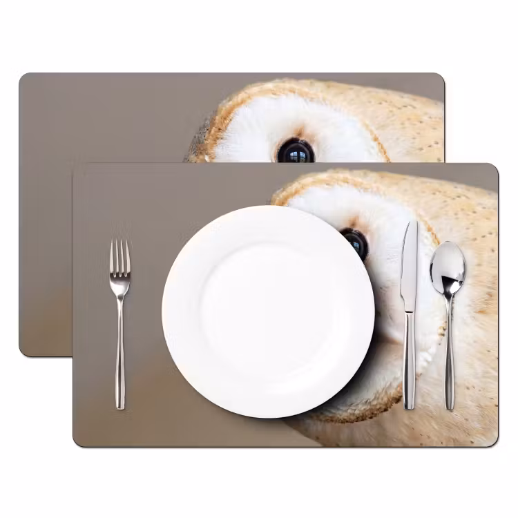 Uil - Bruin - Wit Placemat vinyl groot -zzsfeer2_Kitchenyeah-website