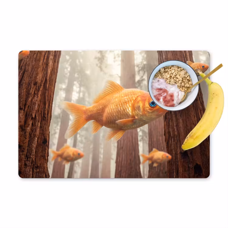Placemat - 6 stuks - Vis - Bos - Fantasie - Vis - Bos - Fantasie Placemat vinyl groot