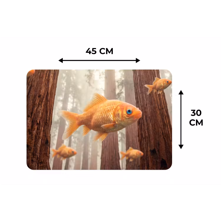 Placemat - 6 stuks - Vis - Bos - Fantasie - Vis - Bos - Fantasie Placemat vinyl groot