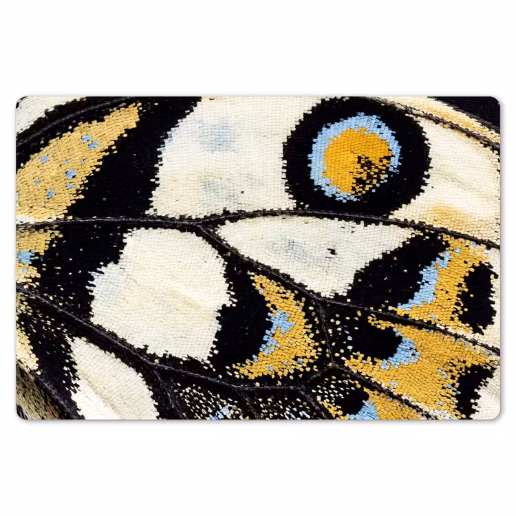 Vlinder - Vleugel - Geel Placemat vinyl groot -zzsfeer1_Kitchenyeah-website
