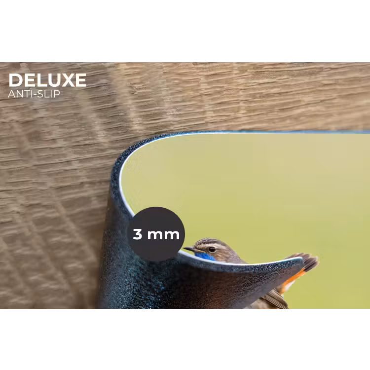 Vogel - Tak - Natuur - Kleurrijk Placemat vinyl groot -closeup
