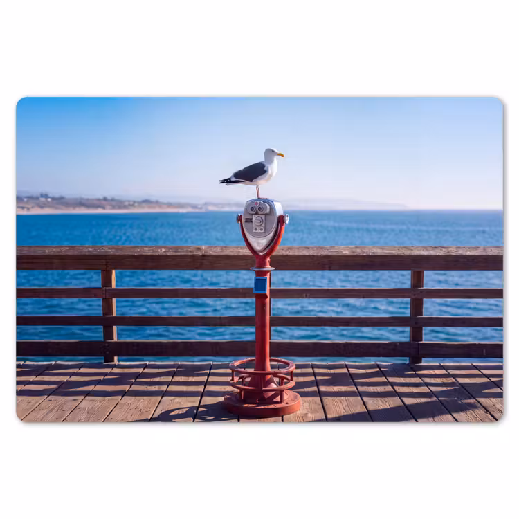 Vogel - Verrekijker - Kust - Zee - Blauw Placemat vinyl groot -zzsfeer1_Kitchenyeah-website