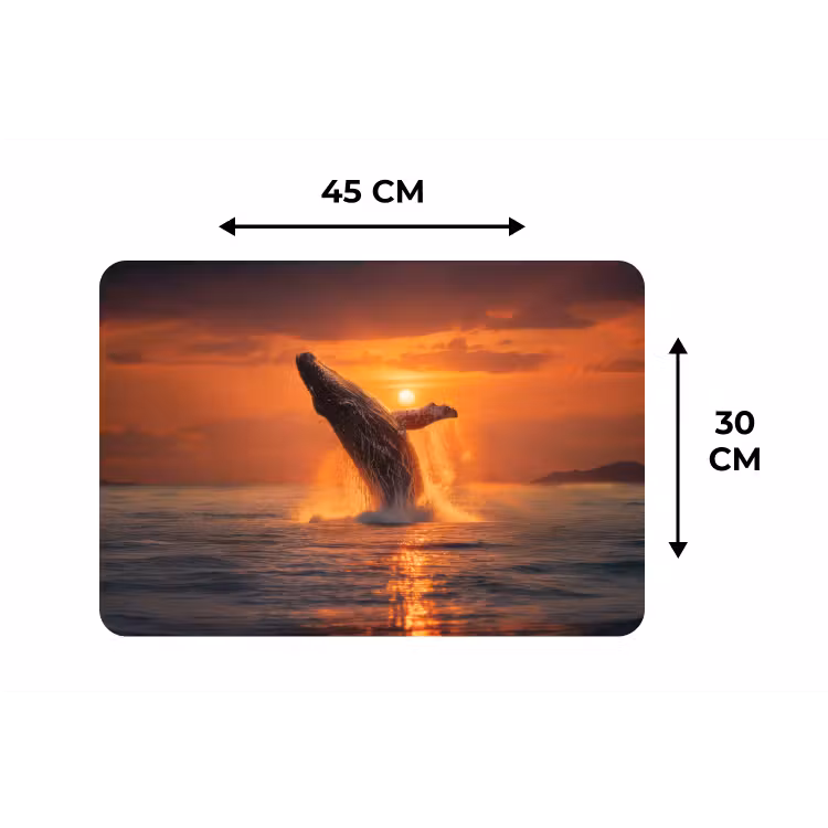Walvis - Zon - Zee Placemat vinyl groot -specs