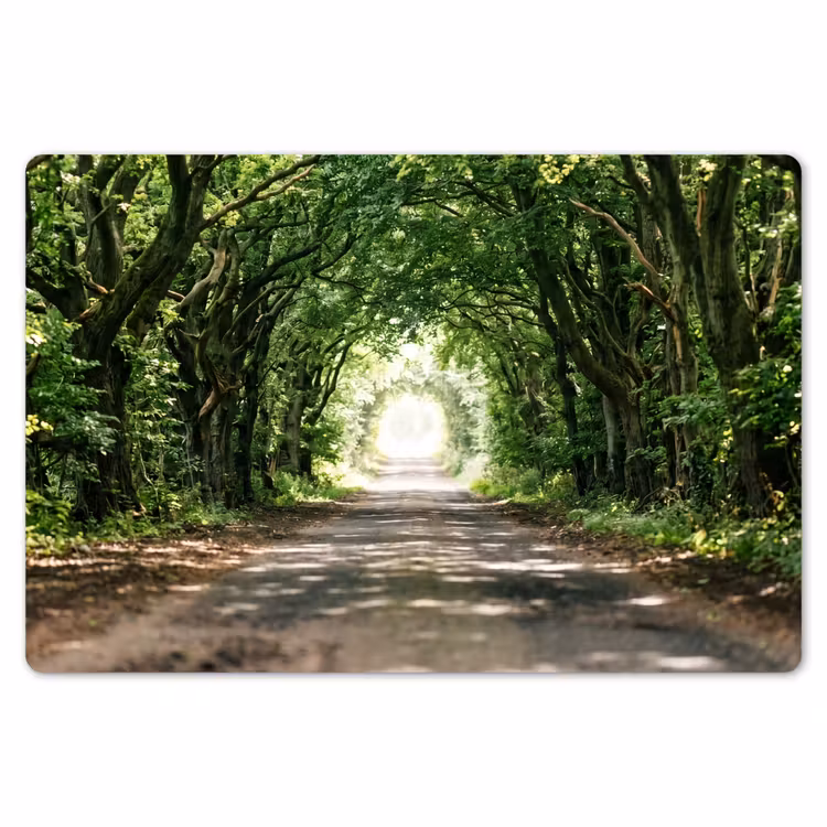 Weg - Bomen - Natuur - Groen Placemat vinyl groot -zzsfeer1_Kitchenyeah-website