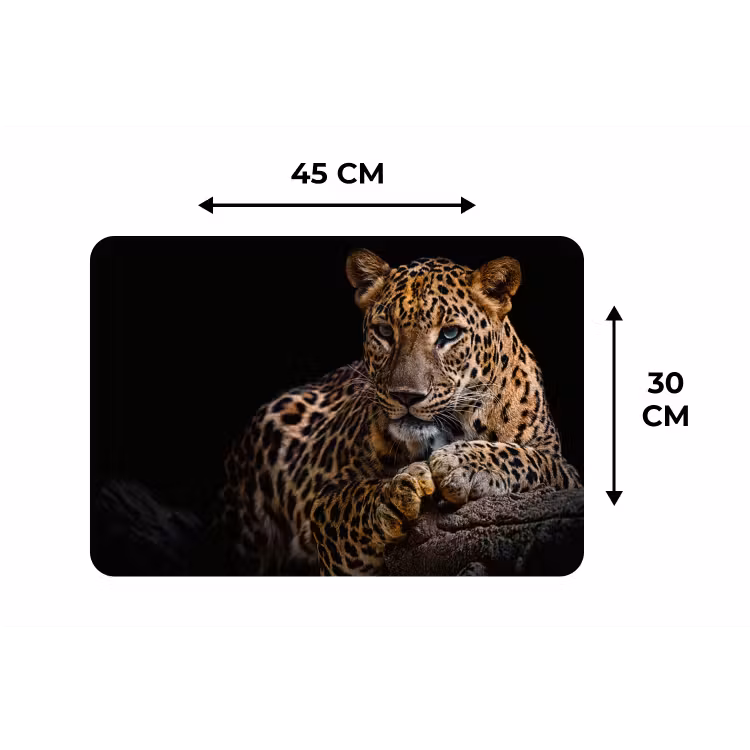 Wilde dieren - Panter - Portret - Zwart - Dieren Placemat vinyl groot -specs