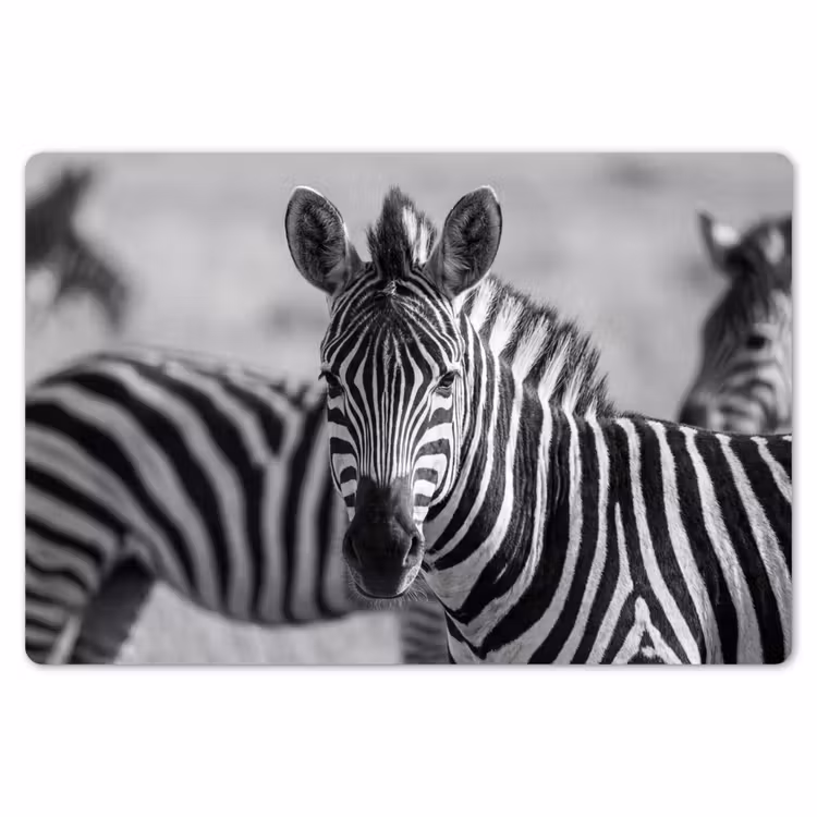 Zebra's - Zwart - Wit Placemat vinyl groot -zzsfeer1_Kitchenyeah-website