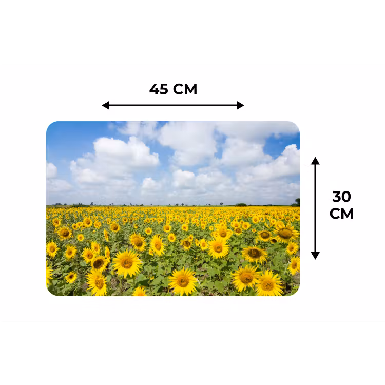 Zonnebloemen - Bloemen - Wolken - Natuur - Geel - Landschap Placemat vinyl groot -specs