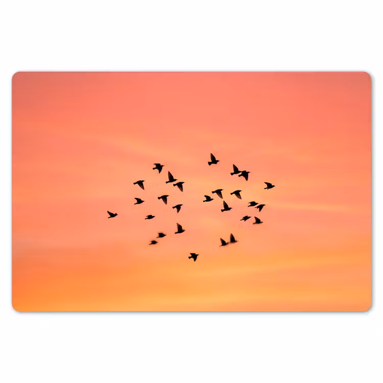 Zwerm - Vogels - Oranje Placemat vinyl groot -zzsfeer1_Kitchenyeah-website