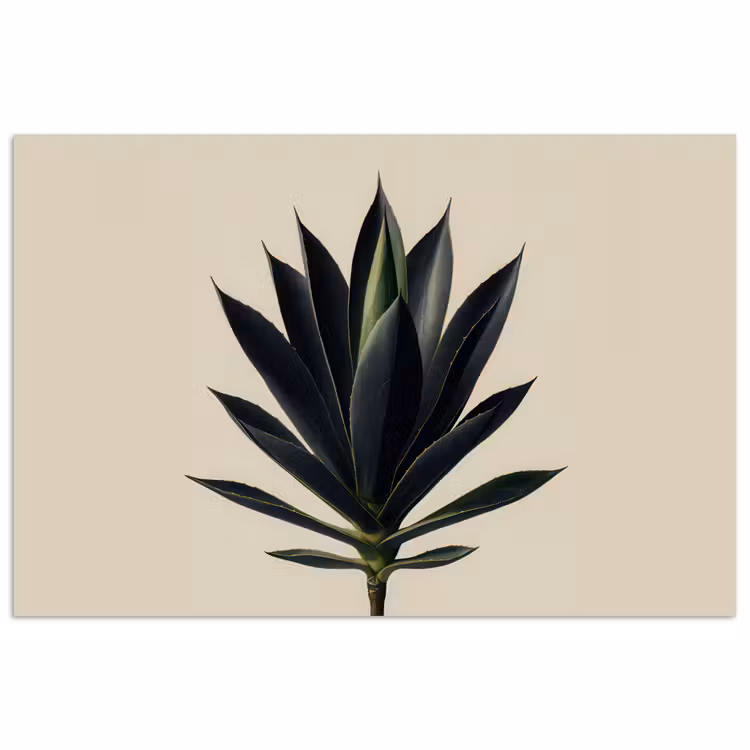 Agaveplant - Symmetrisch - Groen poster papier klein -3d