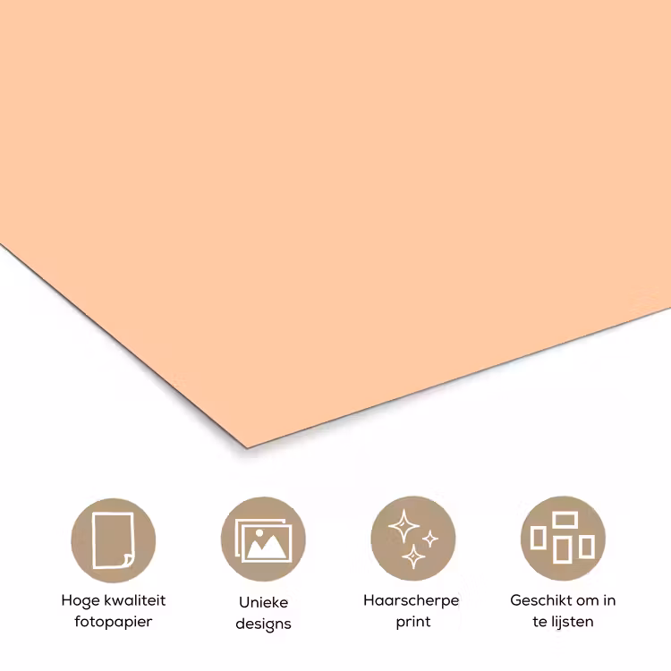 Apricot - Blush - Nude poster papier klein 62 -closeup_NL