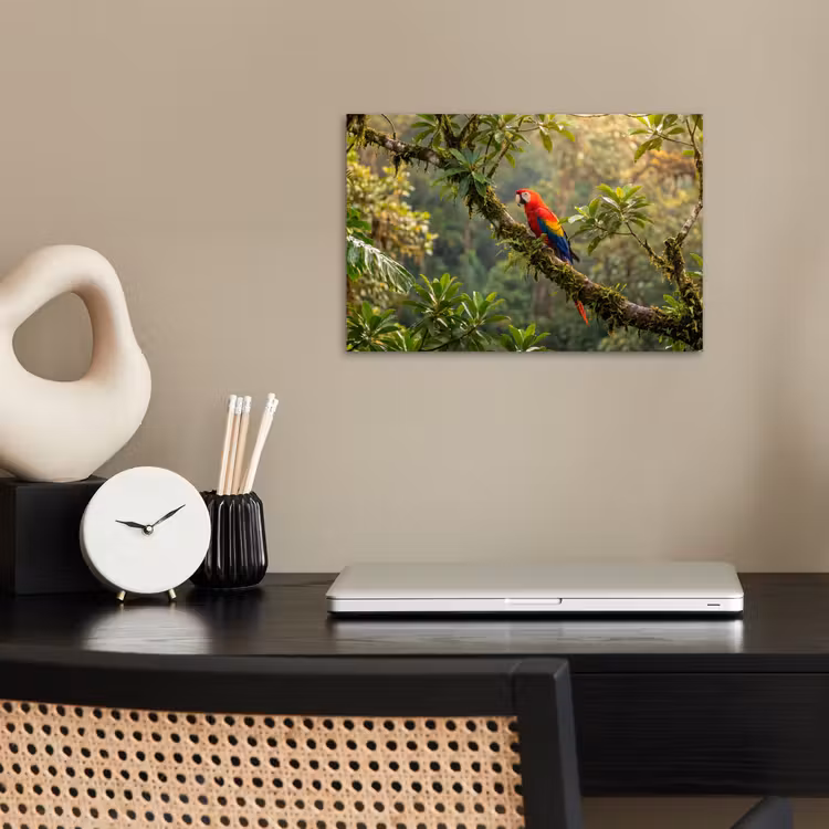 Ara - Jungle - Rood poster papier klein -sfeer1