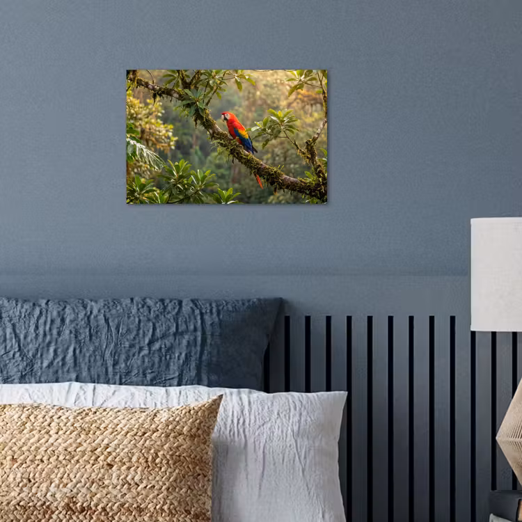 Ara - Jungle - Rood poster papier klein -sfeer2